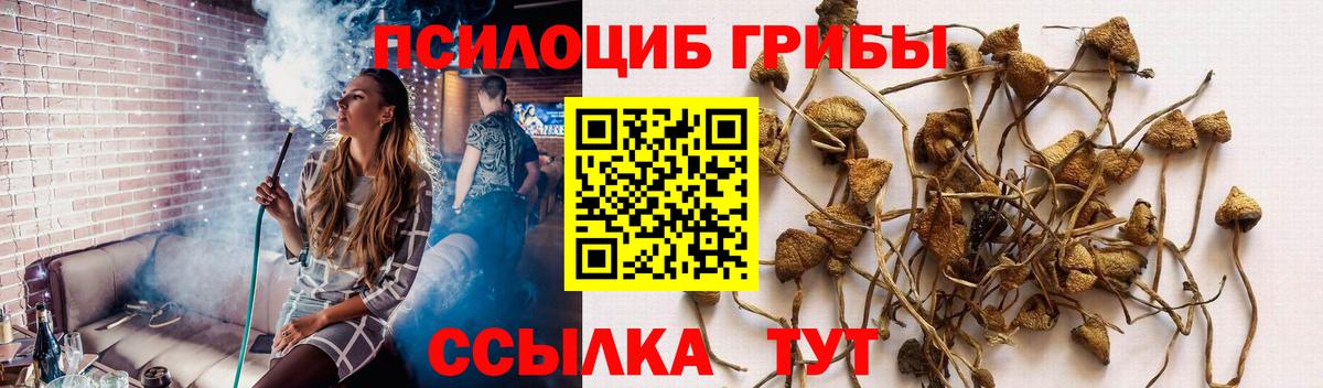 Псилоцибиновые грибы Psilocybe  Галлюциногенные грибы Psilocybine cubensis  Вход с VPN  где купить наркоту  Фрязино 