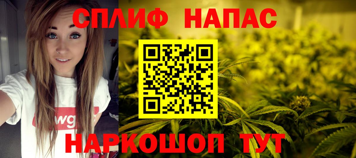 Шишки марихуана планчик Фрязино