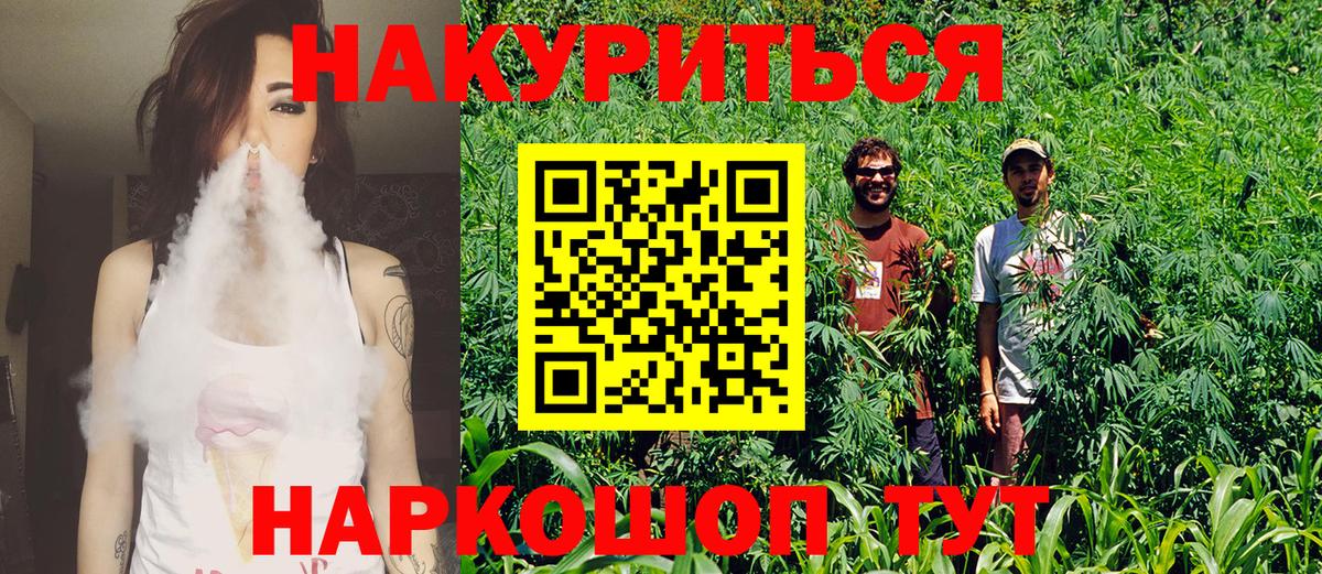 Каннабис конопля  Бошки Шишки OG Kush  Фрязино  Марихуана план  Вход с VPN  Бошки Шишки Bruce Banner 